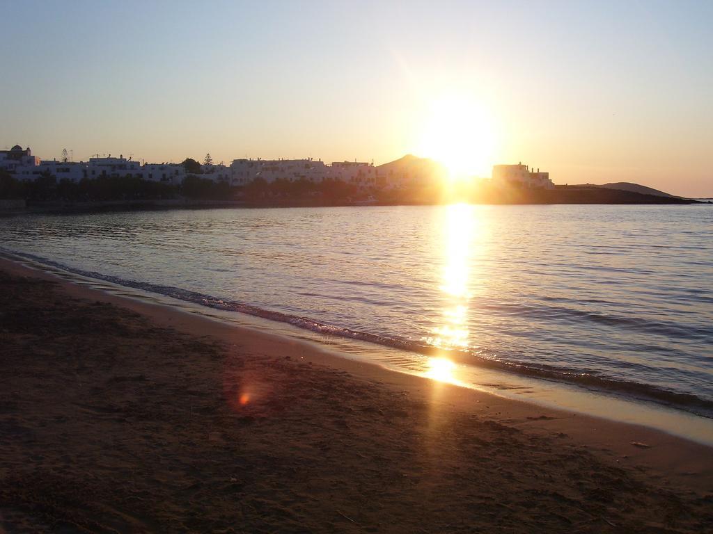Roussos Beach Hotel Naousa  Facilidades foto